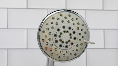 The Truth About Bacteria and Algae in Unfiltered Shower Heads
