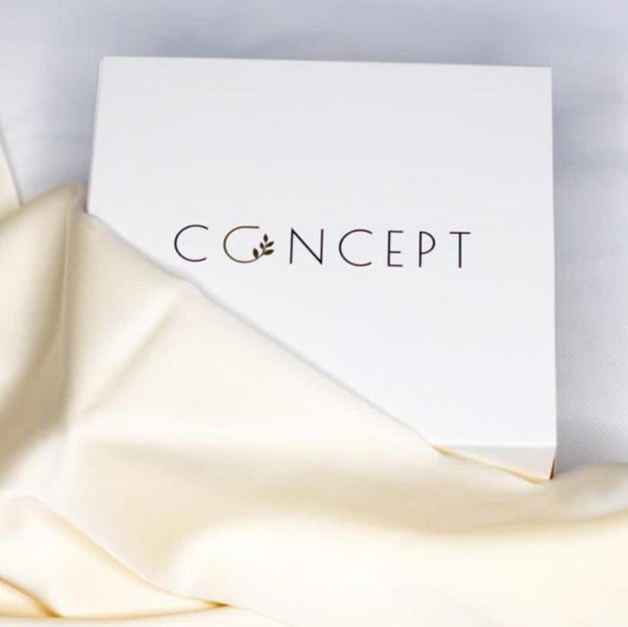 Buy Silk Pillowcase for Skin & Hair Care